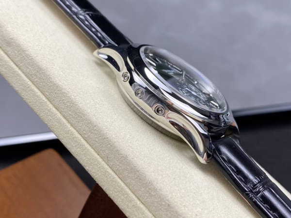 Patek Phillippe Complications Platinum Limited Edition Annual Calendar 5905P 014 42MM - 图片 7