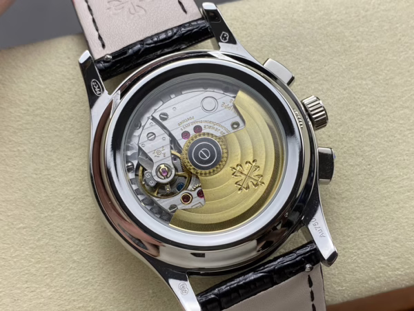 Patek Phillippe Complications Platinum Limited Edition Annual Calendar 5905P 014 42MM - 图片 9